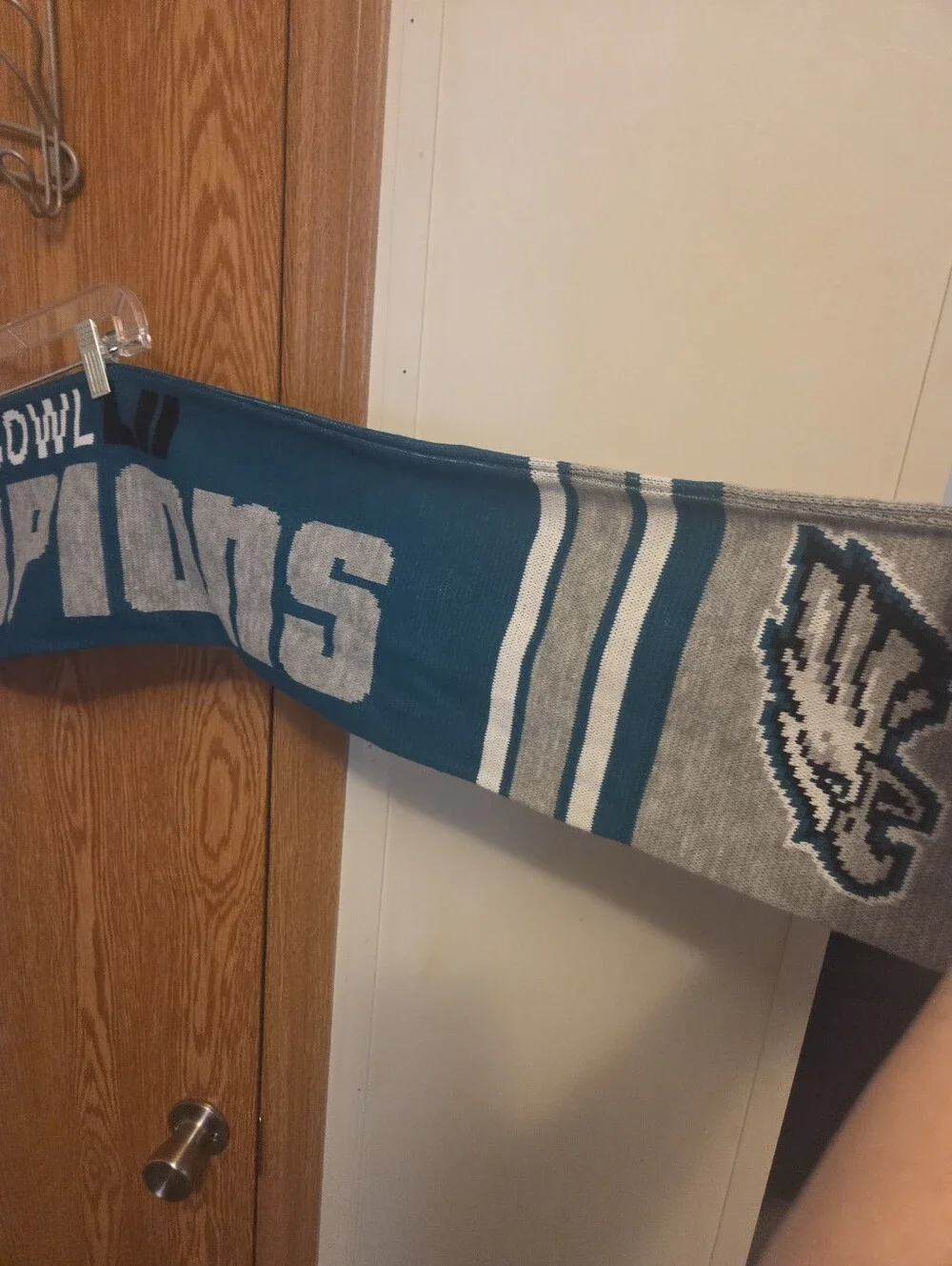 NFL Philadelphia Eagles Super Bowl 52 Champions Scarf NWT